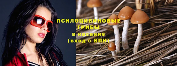 амфетамин Алексеевка