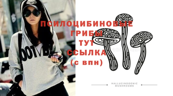 герыч Алзамай